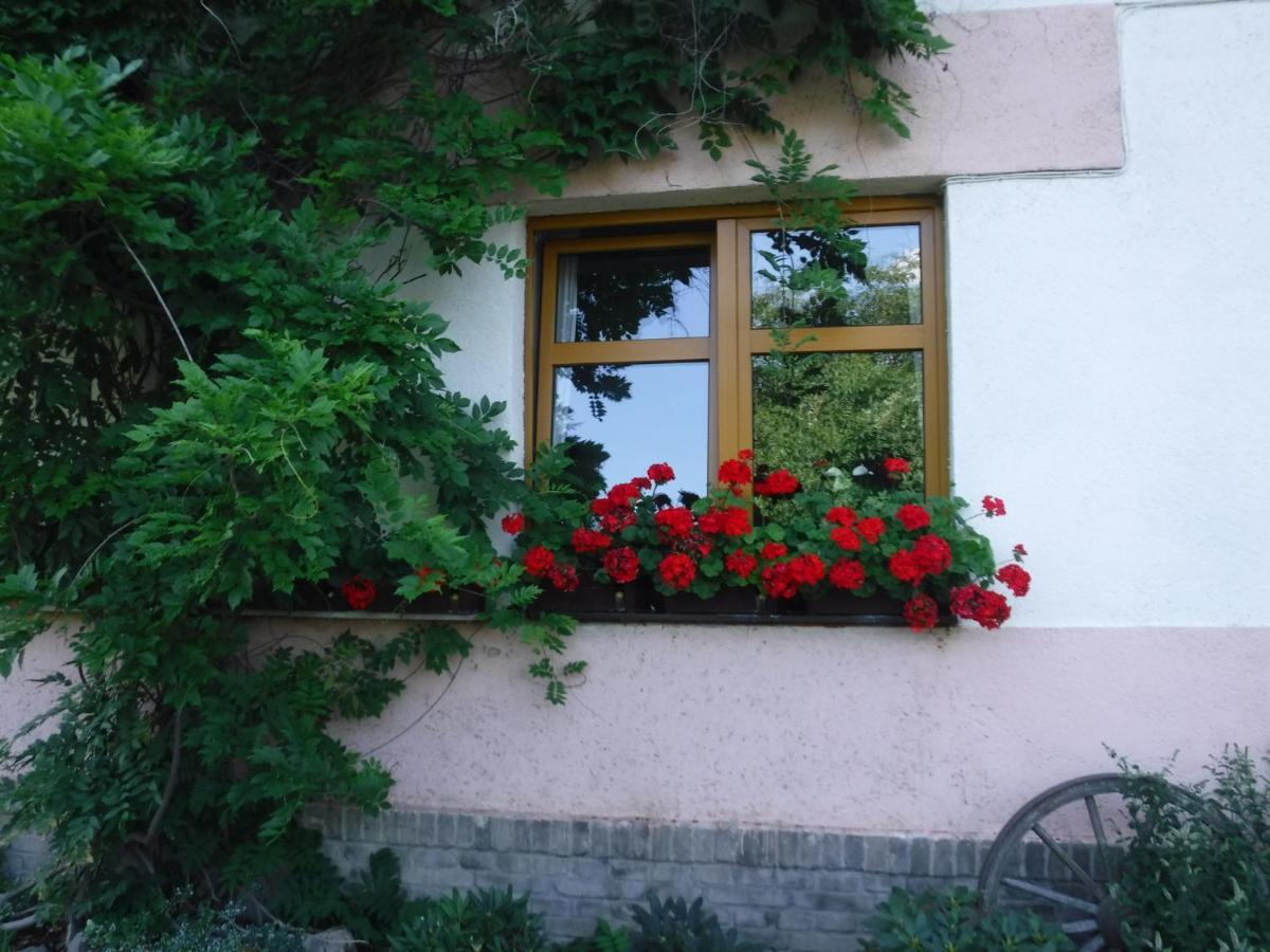 Farma Zahradnice Olbramovice  Екстер'єр фото